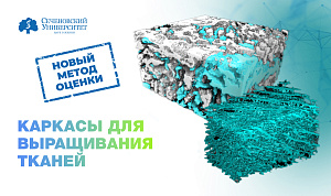  В Сеченовском Университете разработали метод оценки «каркасов» для выращивания биологических тканей 