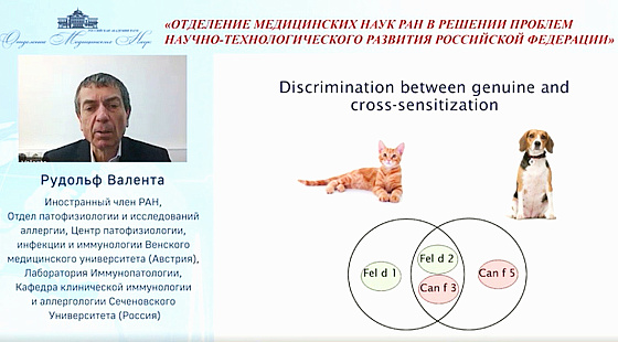  От диагностики до превентивного лечения: основоположник молекулярной аллергологии Рудольф Валента рассказал на заседании РАН, чему посвятил 55 лет своей жизни 