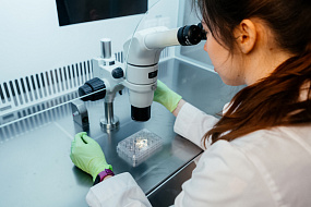 В Сеченовском Университете создали  технологию 3D-печати ткани человека из живых клеток