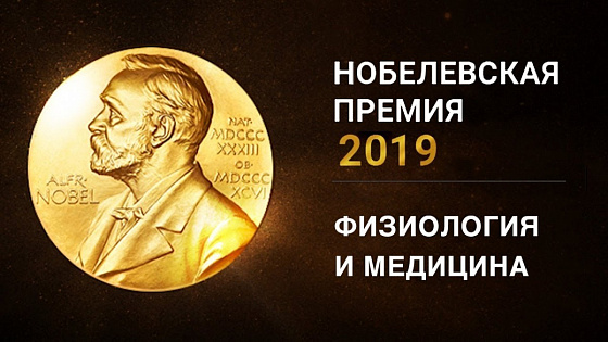 The Nobel Prize: комментарии экспертов Сеченовского Университета