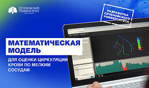  В Сеченовском Университете разработали модель течения крови в крупных и мелких сосудах сердца при ишемии 